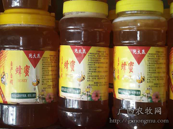 探秘浦北县辉旺中蜂良种繁殖合作社 匠心酿造的自然蜜语